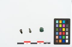 Foto von Bronzeknopf (NHMW-PRAE-025297)